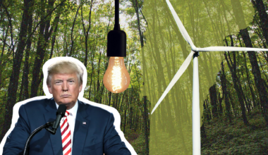 Experts fear Trump environmental policies could undermine Vermont’s efforts