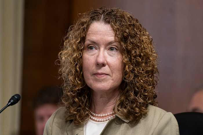 Biden's public lands director named to lead environmental group