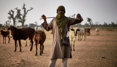 Climate Change and Violent Extremism in the Sahel