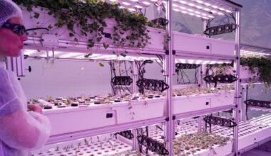 As climate tech startup funding wanes, is AI to blame?