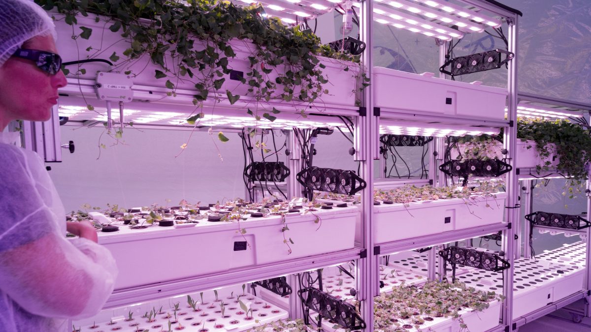 As climate tech startup funding wanes, is AI to blame?