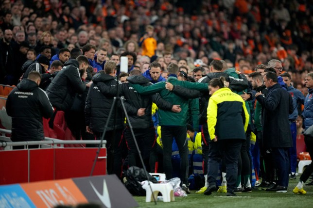 Adam Szalai collapsed during Netherlands vs Hungary match