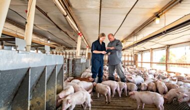 Pork industry navigating the changing regulatory environment