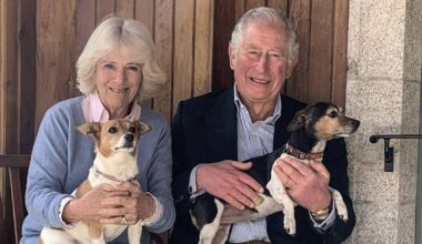 King Charles shares touching tribute to beloved dog after sad loss at Highgrove