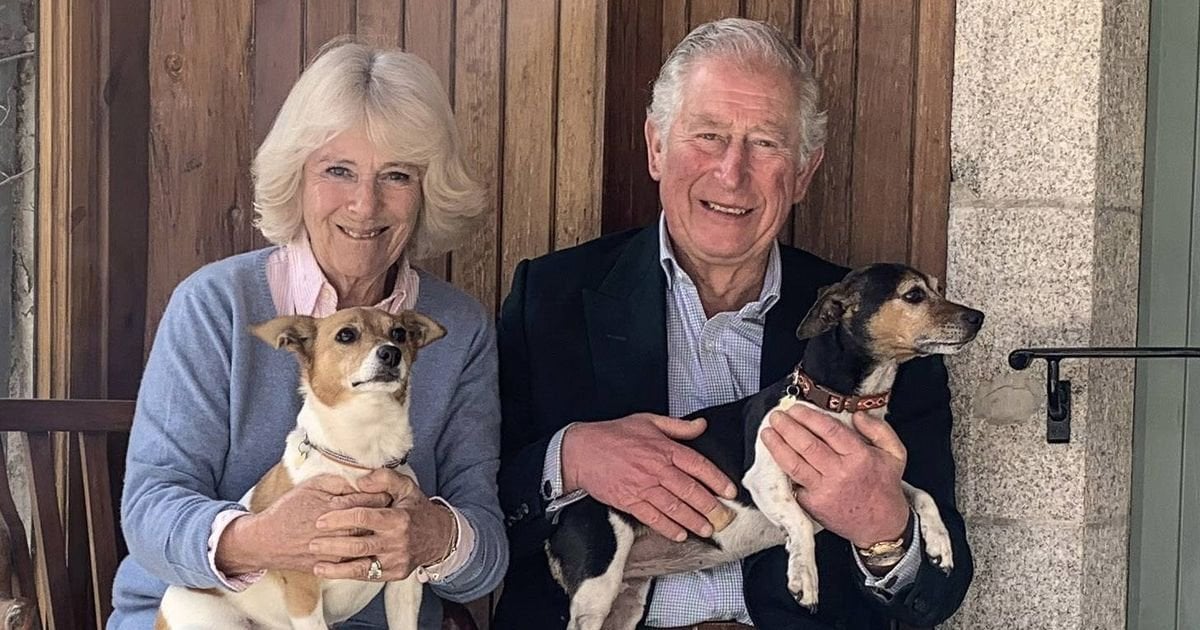 King Charles shares touching tribute to beloved dog after sad loss at Highgrove