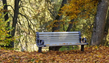 Calm autumn weather this weekend in Latvia, but changes will come next week