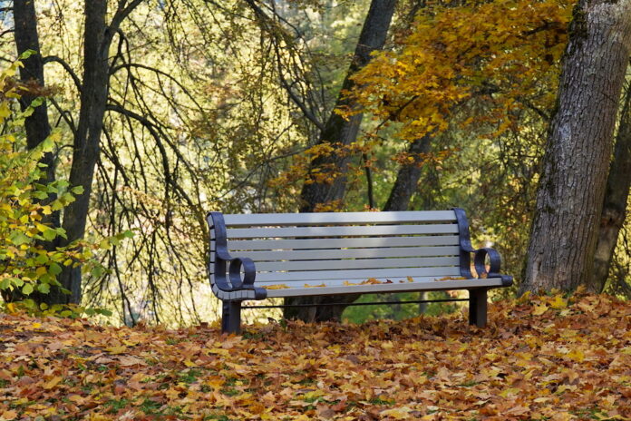 Calm autumn weather this weekend in Latvia, but changes will come next week