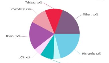Data Visualization Platform Market