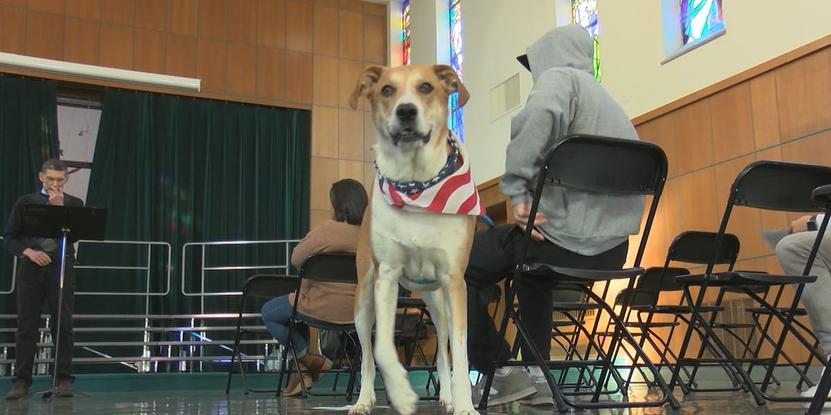 Quincy Humane Society shows heroism of pets during War World II