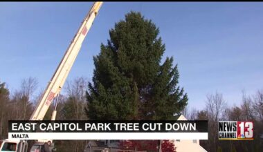 Second New York state holiday tree cut down in Malta