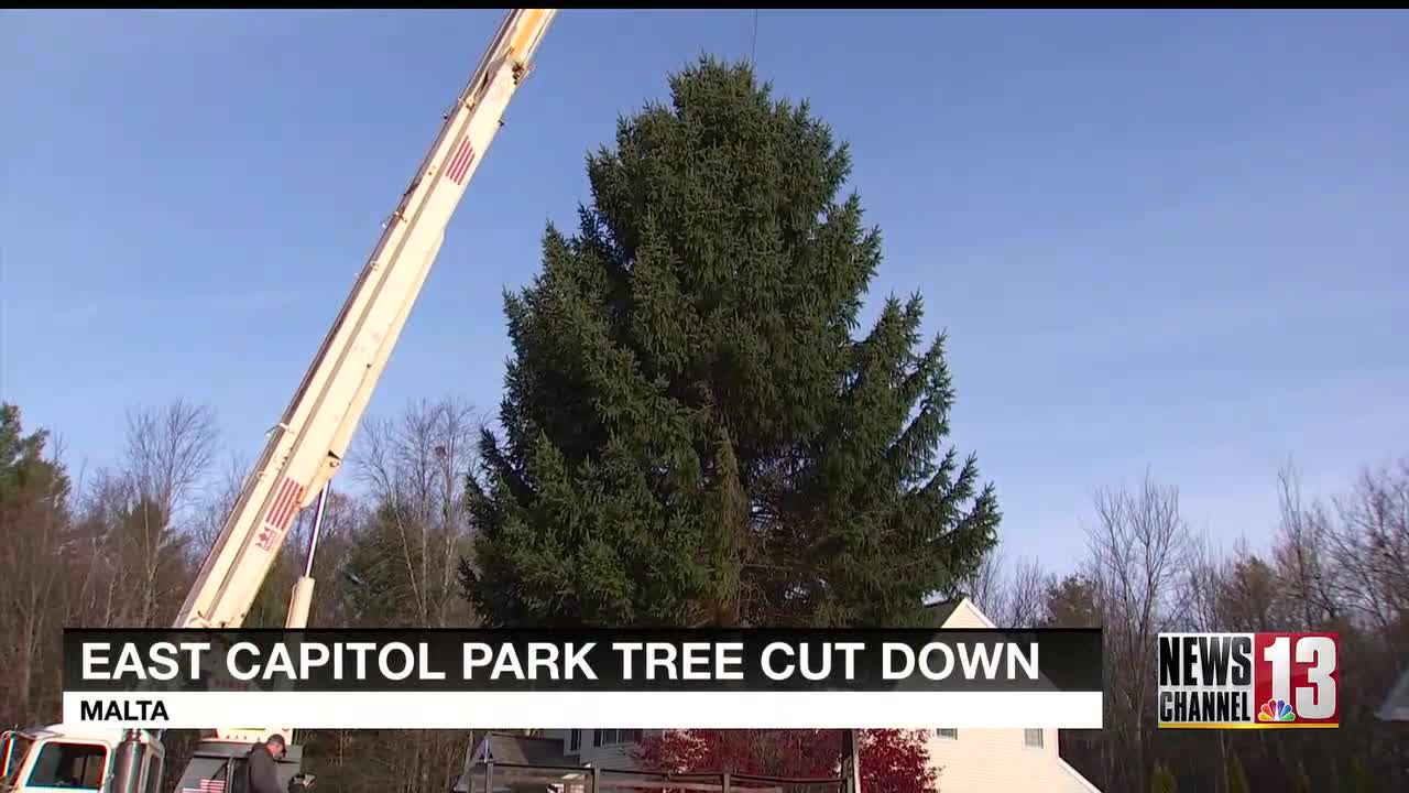 Second New York state holiday tree cut down in Malta