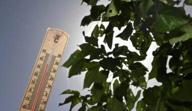 pourquoi a-t-il fait si doux ce matin dans le Sud-Ouest de la France ?