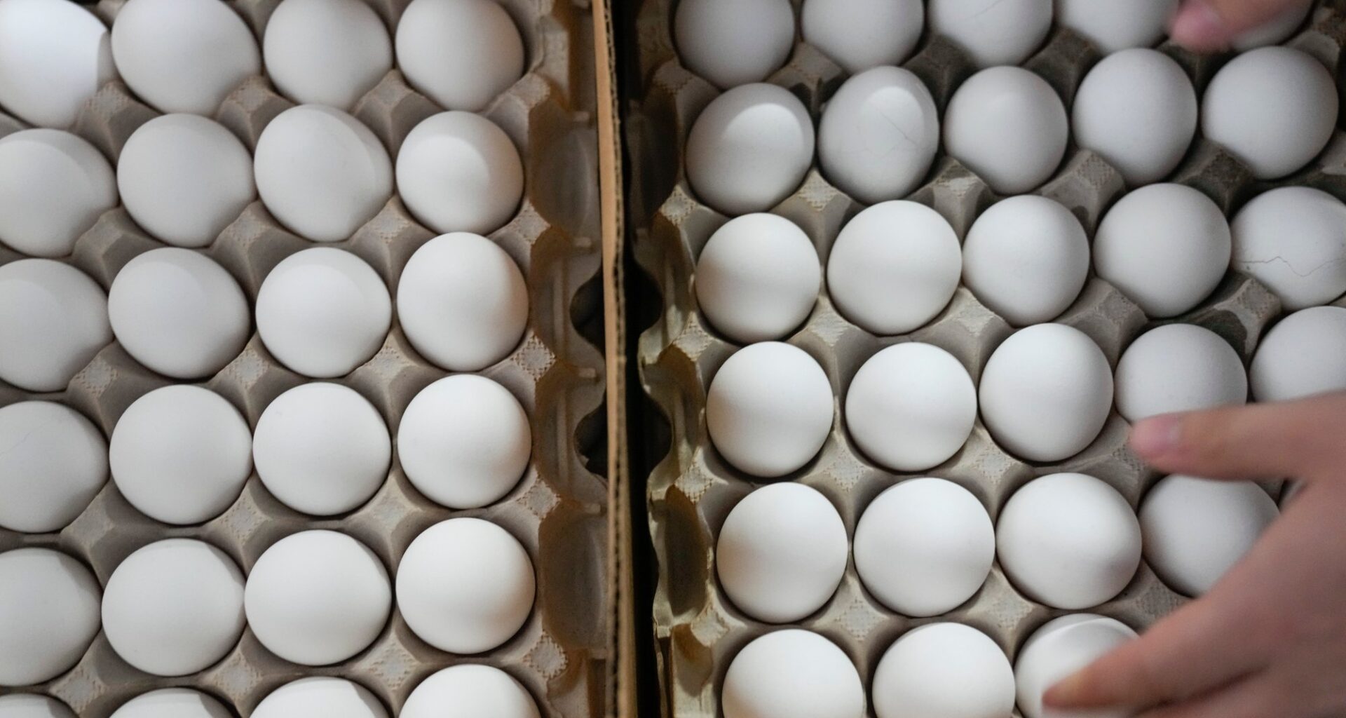 Mat og drikke, Egg | Mattilsynet: Store mengder ulovlige importegg solgt i Norge