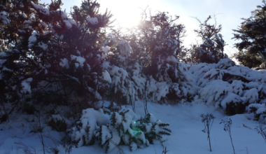 Cavehill Snow Drone