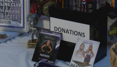 Dakota Valley wrestler fundraising for tournament in Netherlands