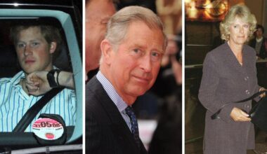 'Sacrificed' for the Crown: King Charles 'Used' Prince Harry to 'Make Himself Look Better' After Camilla Affair Scandal
