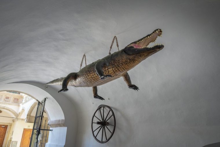 Brno, Czechia - Oct 6, 2019: Brno Dragon and Brno Wheel at Old Town Hall - Brno, Czech Republic