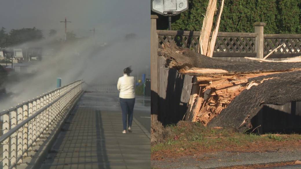 Click to play video: 'Strong winds batter B.C.’s South Coast'