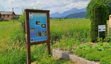 Slovenian fish farms get greener