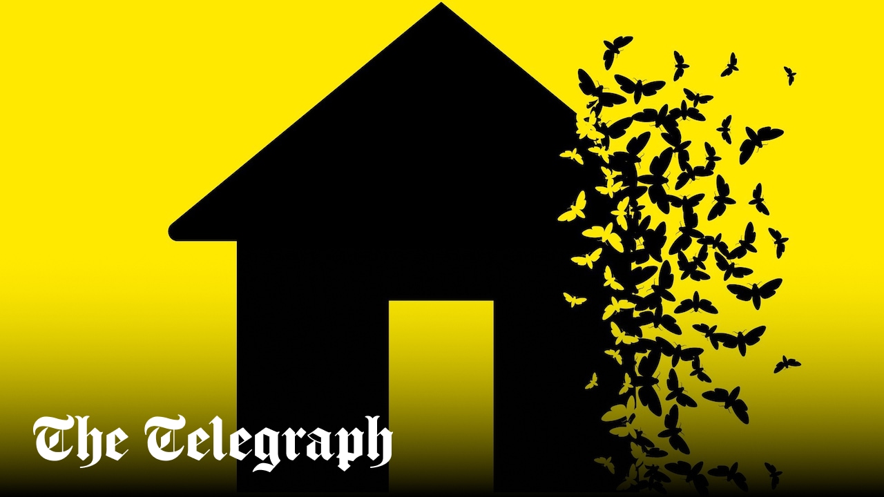 Is trendy eco insulation to blame for Britain's moth problem?