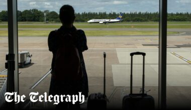 British firms banning staff from flying in UK to cut carbon footprints