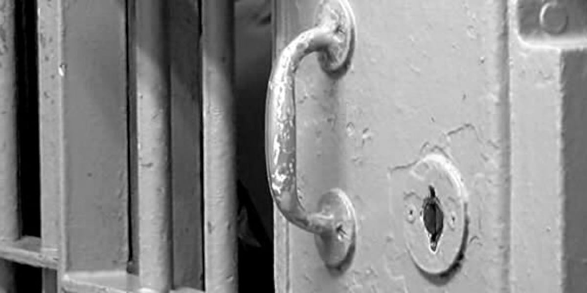 Ga. lawmakers look to improve health, safety in state-run prisons