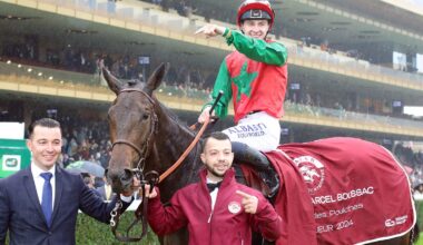 France's Top Juvenile Vertical Blue Bound for Tattersalls