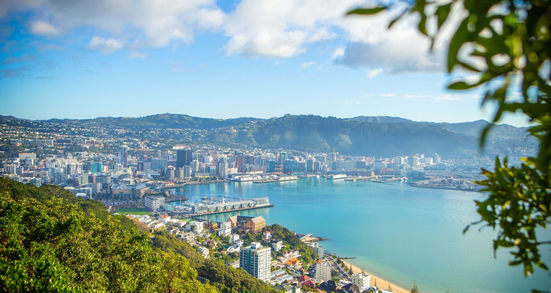 Wellington wins hydro-environment engineering conference