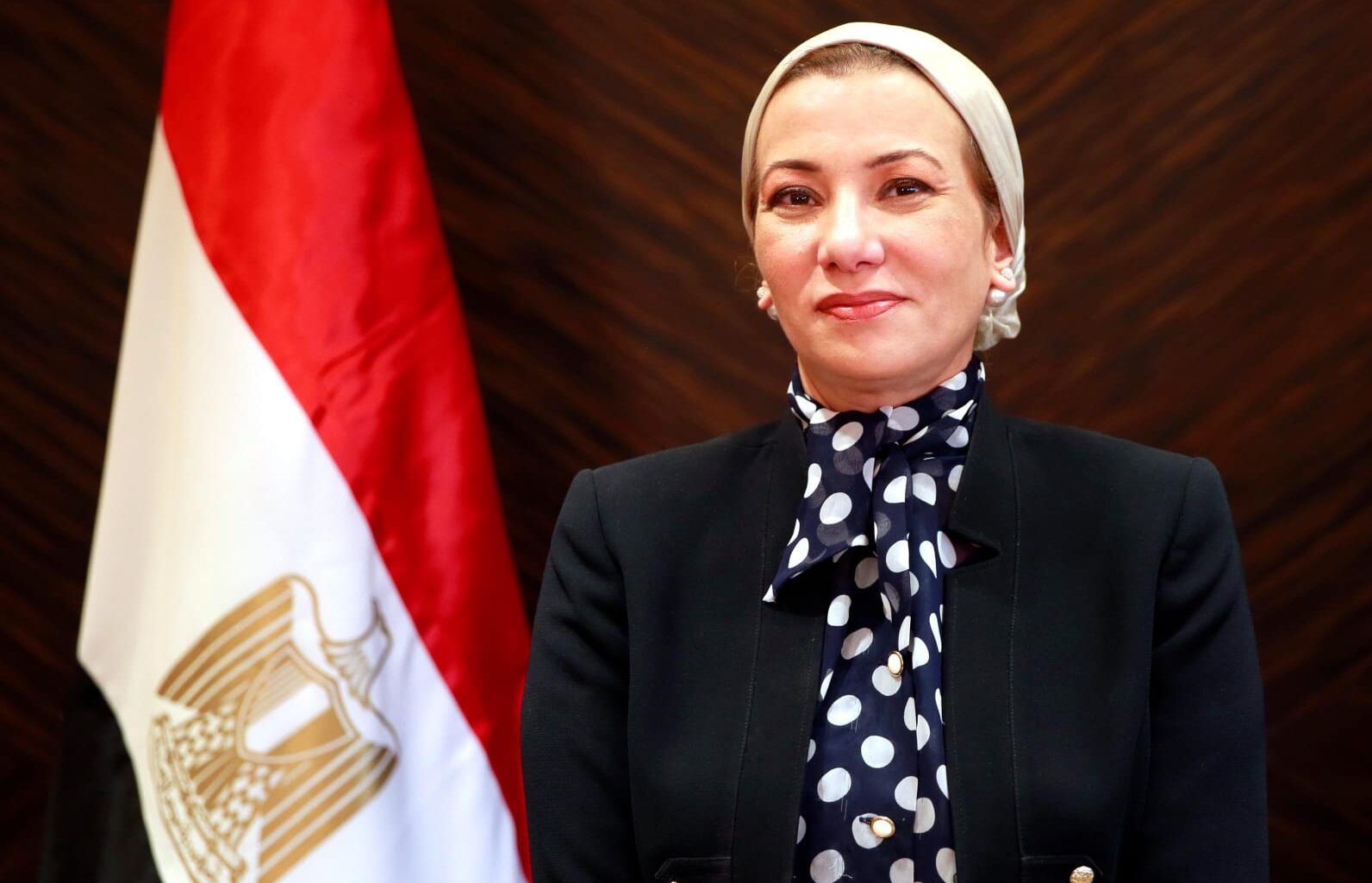 Dailynewsegypt