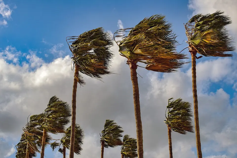cover Cold winds to hit Cyprus in coming days