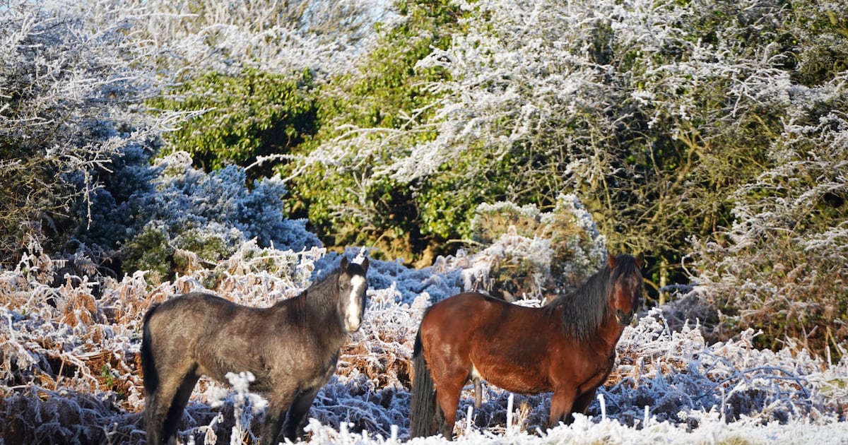 Multiple low temperature warnings issued by Met Éireann with chance of snow – The Irish Times