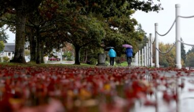 Environment Canada warns of possible damage as ‘intense’ storm approaches B.C. coast