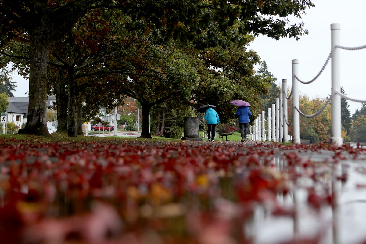 Environment Canada warns of possible damage as ‘intense’ storm approaches B.C. coast