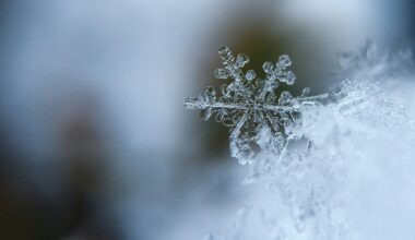 Croatian Winter Road Regulations in Force on Friday