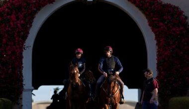 O'Brien Hopes Firm Turf Brings Out Best in Luxembourg