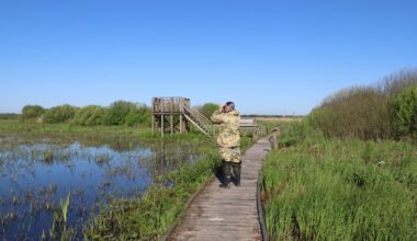 From Tri-COP Vision to Impact on the Ground: Belarus’ Peatland Restoration Success