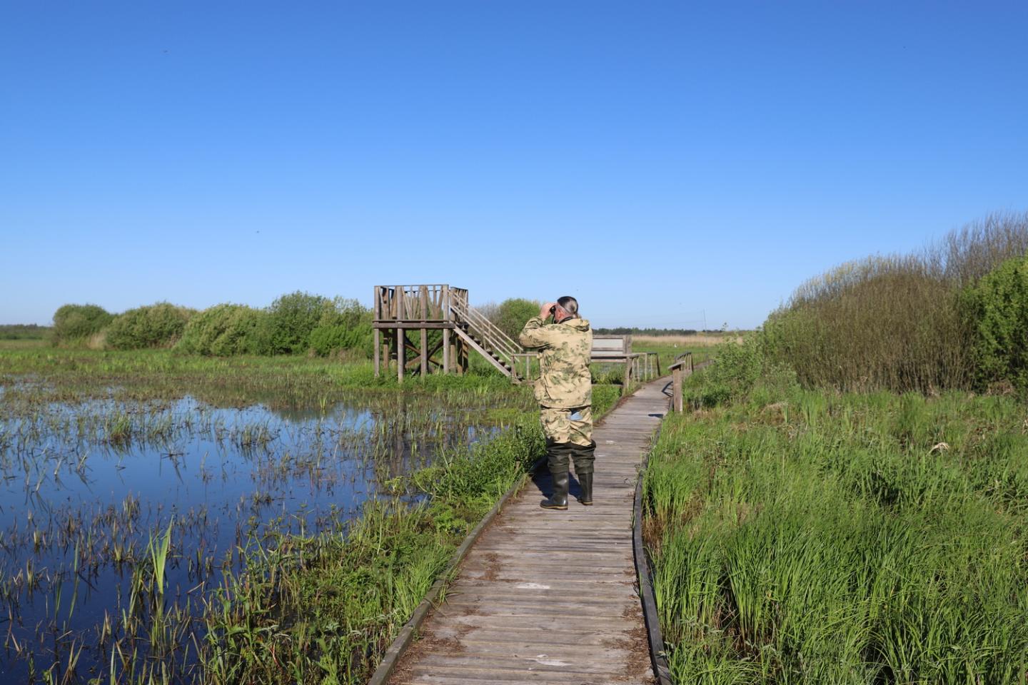 From Tri-COP Vision to Impact on the Ground: Belarus’ Peatland Restoration Success