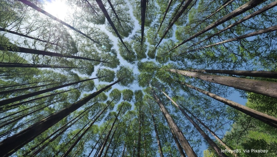bne IntelliNews - Croatia’s Mezzanine Partner launches €100mn "dark green" energy fund