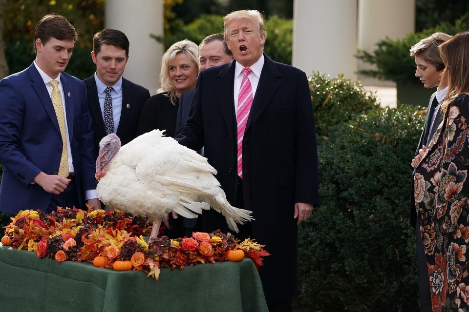 President Donald Trump pardons Drumstick, along with National Turkey Federation Chairman Carl Wittenburg and his family in the Rose Garden on Nov. 21, 2017 in Washington, D.C. Following the presidential pardon, the 40-pound White Holland breed raised by Wittenburg in Minnesota, is set to reside at his new home, Gobbler's Rest, at Virginia Tech.