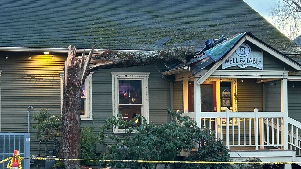 City of Issaquah offers help to local small businesses affected by windstorm