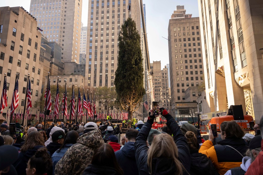 Massachusetts Norway Spruce arrives in NYC as Rockefeller Center Christmas Tree