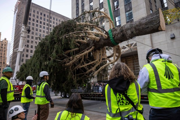 Workers secure the Rockefeller Center Christmas tree as it is lifted by a crane into place at Rockefeller Plaza, Saturday in New York. (AP Photo/Yuki Iwamura)