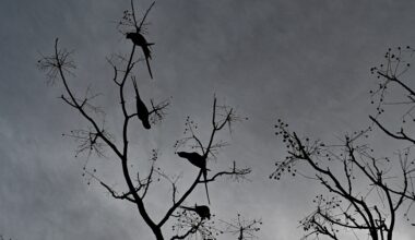 Stormy weather reaches Greece | eKathimerini.com