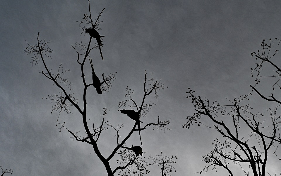 Stormy weather reaches Greece | eKathimerini.com