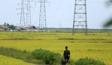 North Korea dismantles power lines on border with South Korea