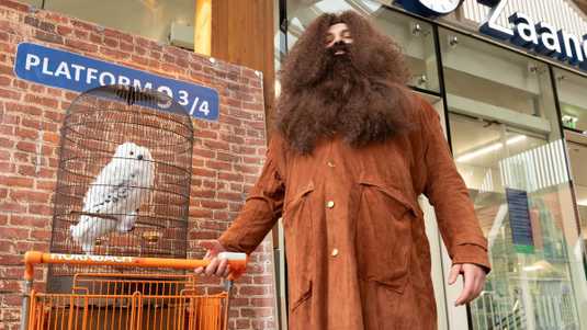 Hedwig en Hagrid