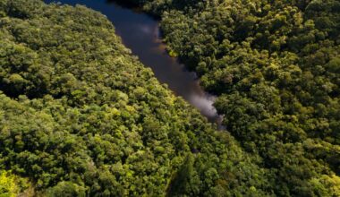 Study Reveals Tropical Rainforests' Resilience to Future Global Warming