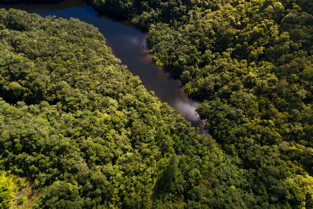 Study Reveals Tropical Rainforests' Resilience to Future Global Warming