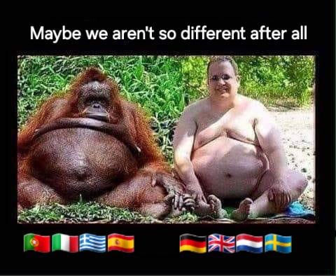 🐖
