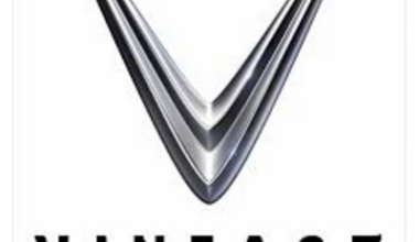 Bulgarian President Urges VinFast to Soon Sell Electric Cars and Invest in Production in Bulgaria